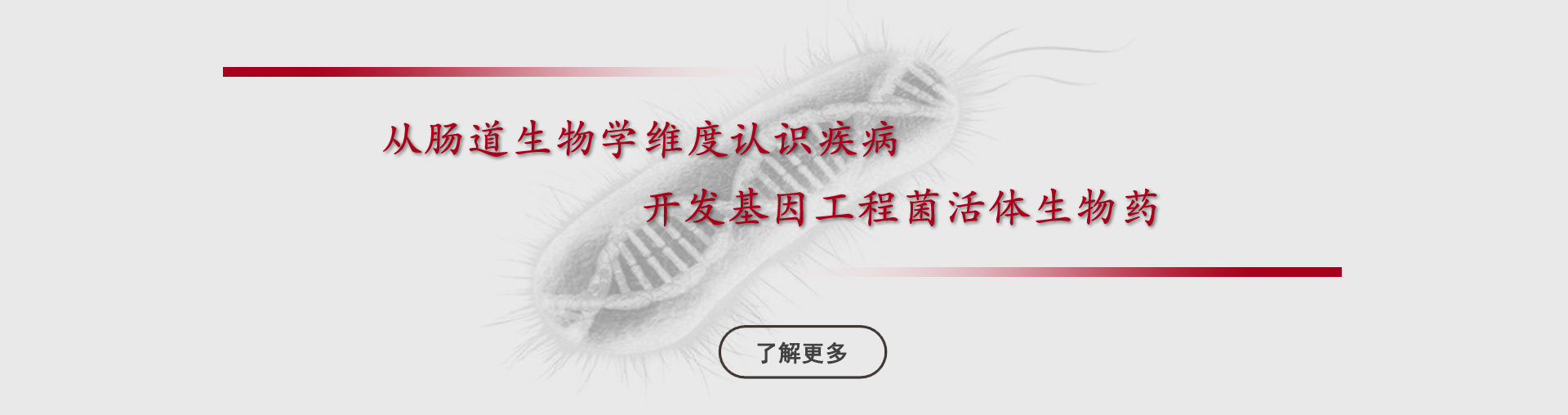 首页